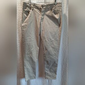 Democracy Womans Pants 12 Tan Straight Stretch Classic Casual Comfort